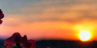 فهد العبدالله banner