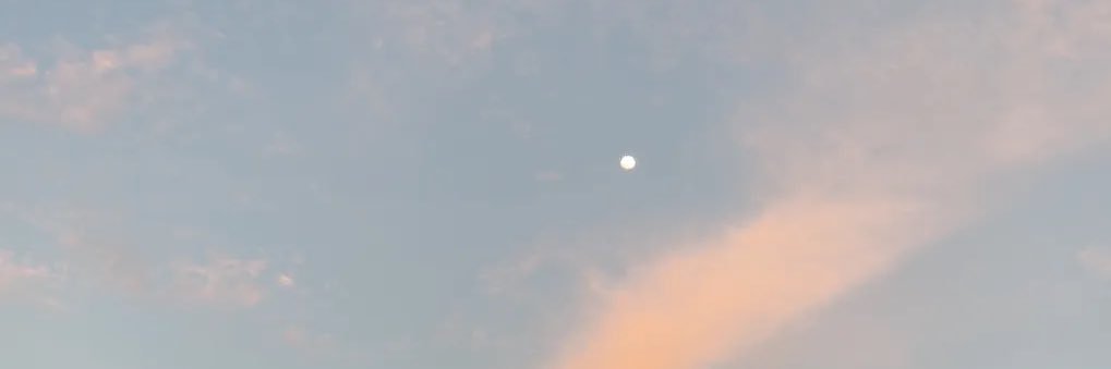 engashx's profile banner image