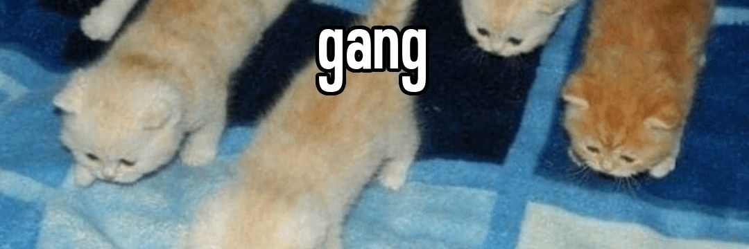 Kraft Punk 🐀 banner