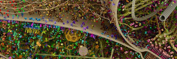 saulodigital Profile Banner