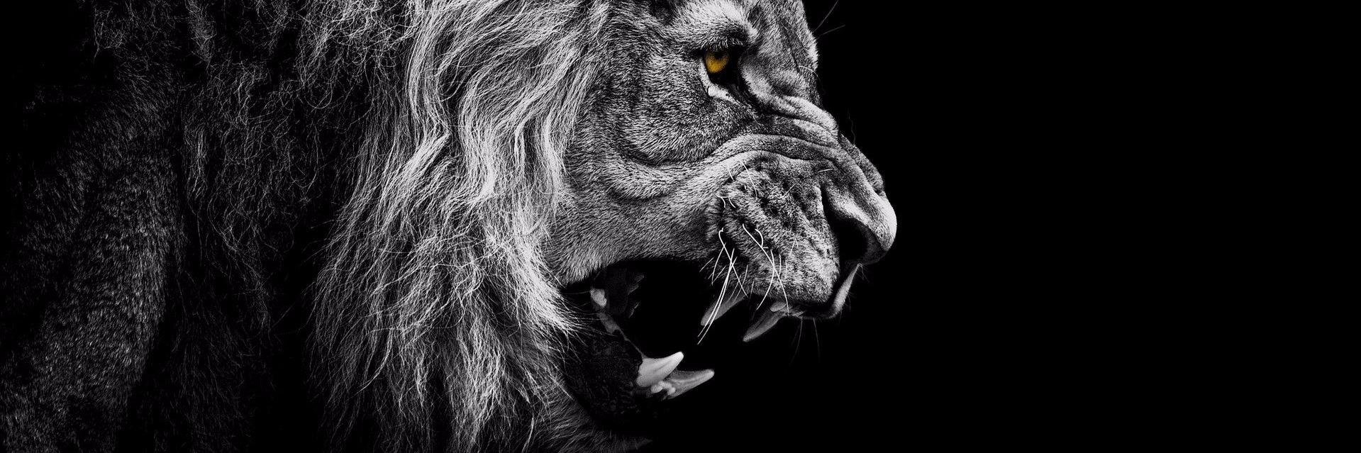 Danielhenao_G's profile banner image