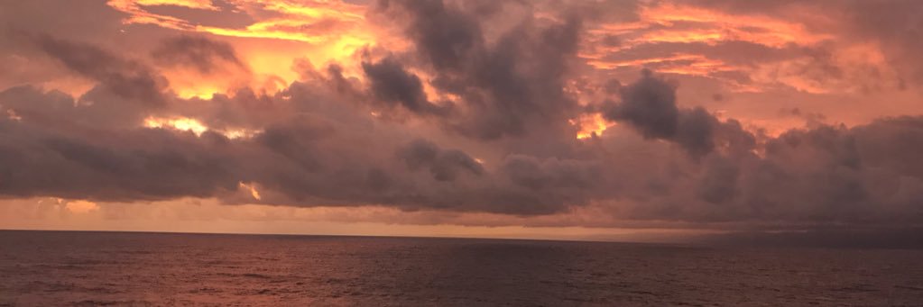 SarahMcC16's profile banner image