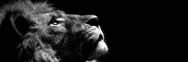 aidenhere24 Profile Banner