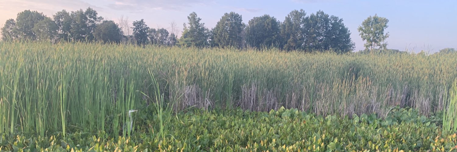 Realcleanliving's profile banner image