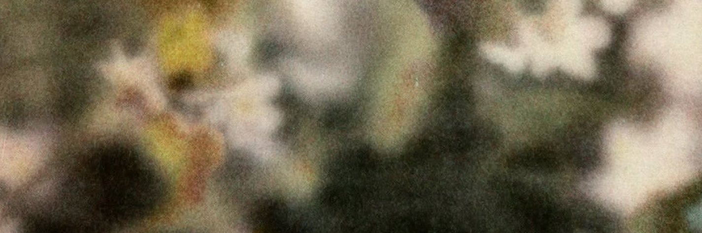 Newt_high_5's profile banner image