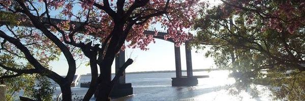 A_VG_'s profile banner image