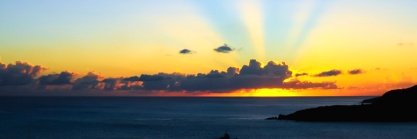 fraronchi01 Profile Banner