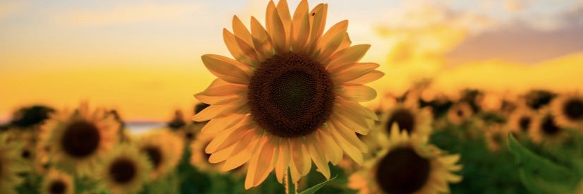 AshBNae's profile banner image