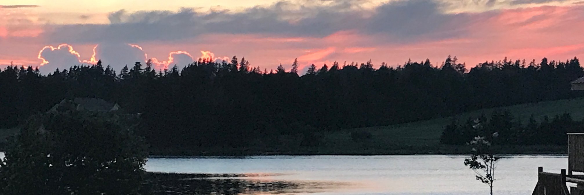 MKells's profile banner image