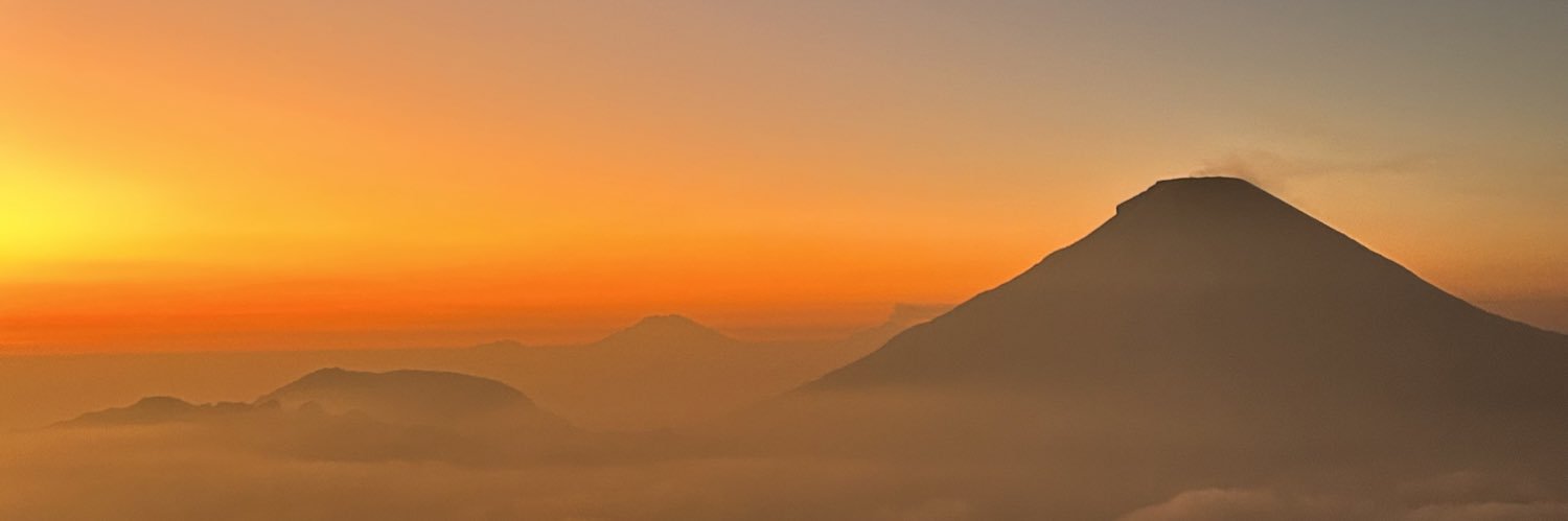 halo banner