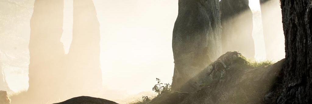 jcubifer's profile banner image