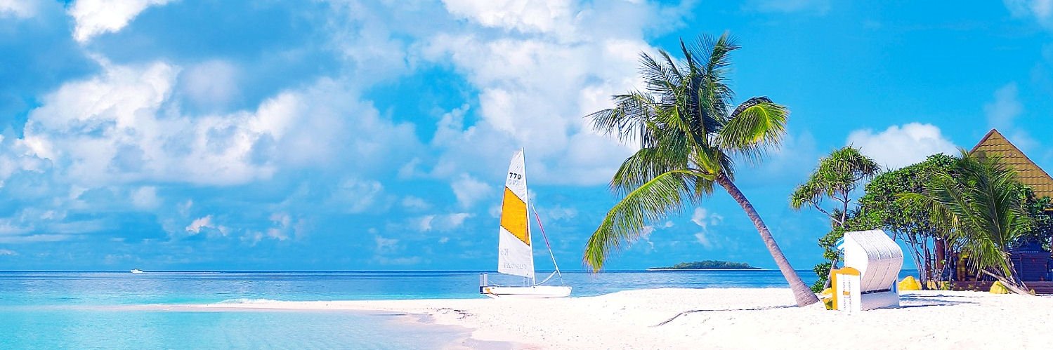 pal508's profile banner image