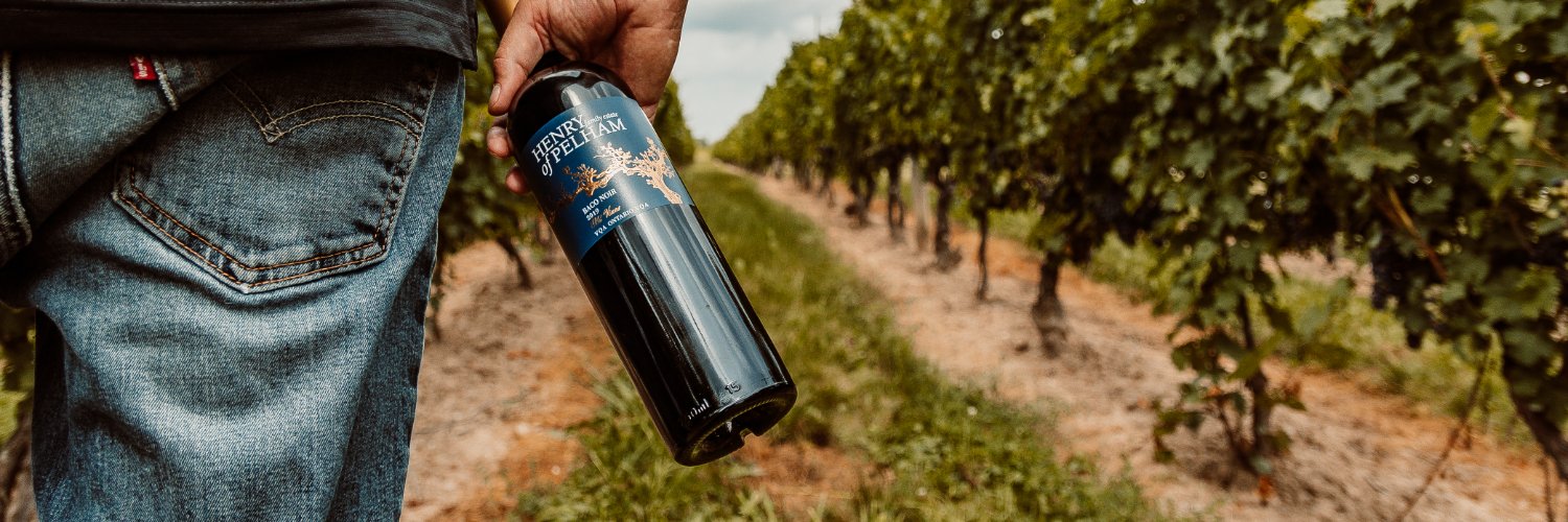 Henry of Pelham banner