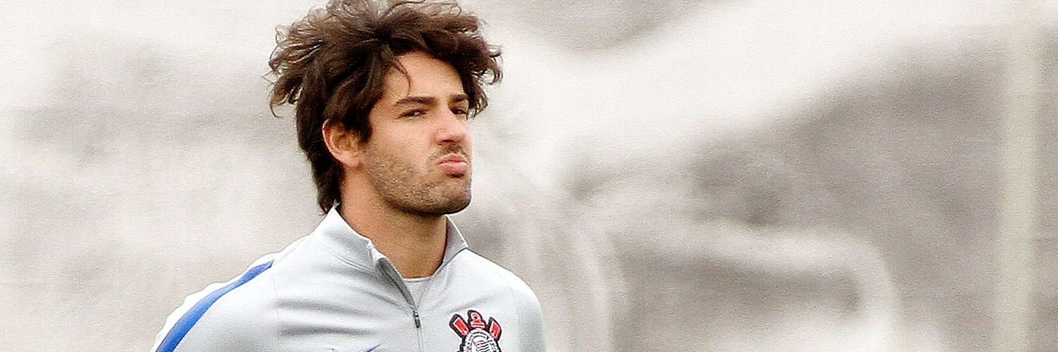 TimeDoPolvoFacts banner