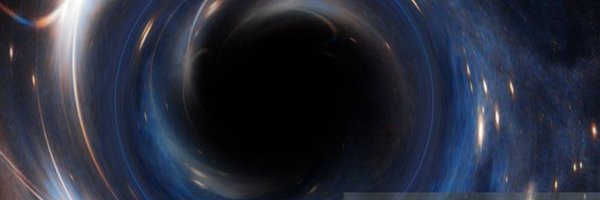 RoseFem1 Profile Banner