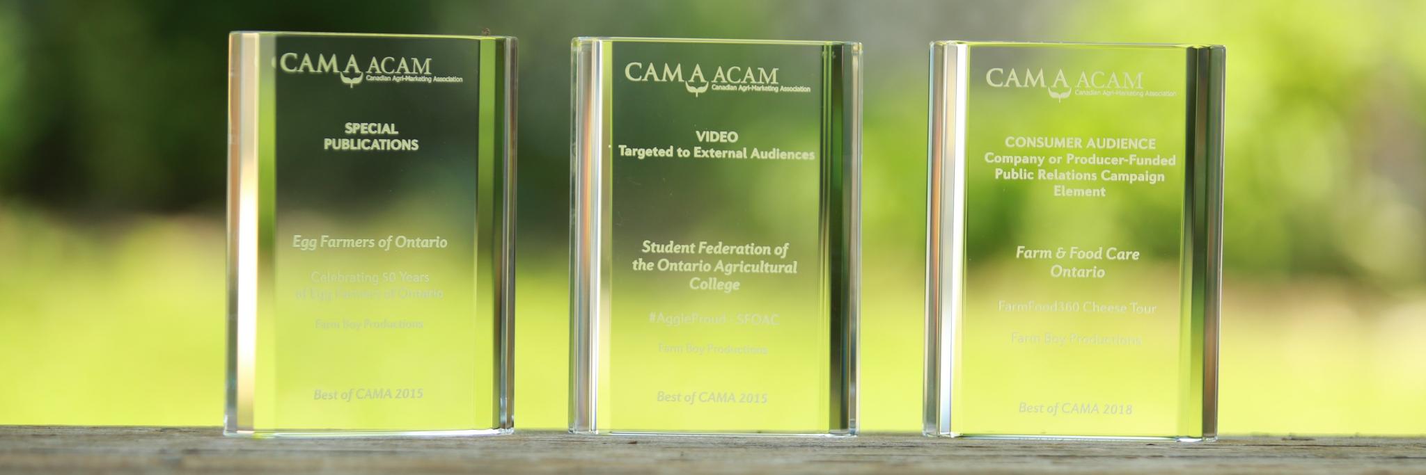 Bruce Sargent banner