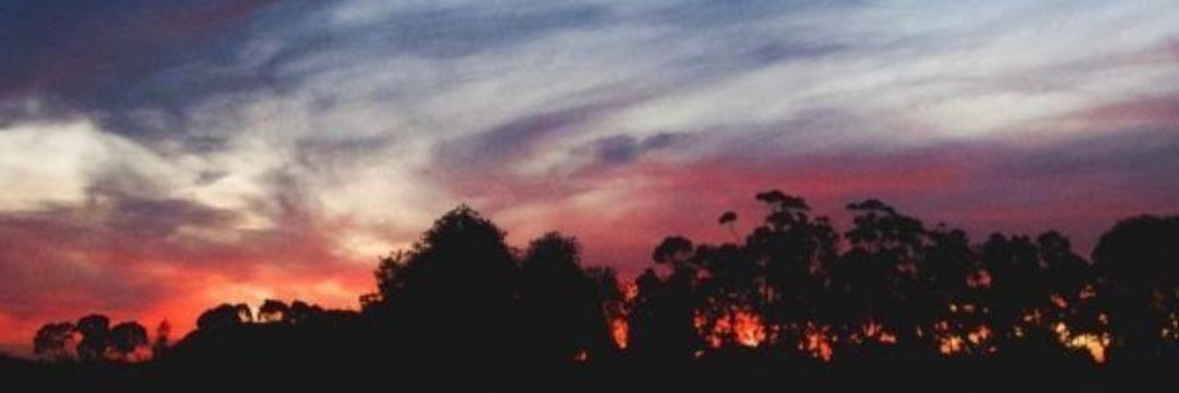 Another_strngr's profile banner image