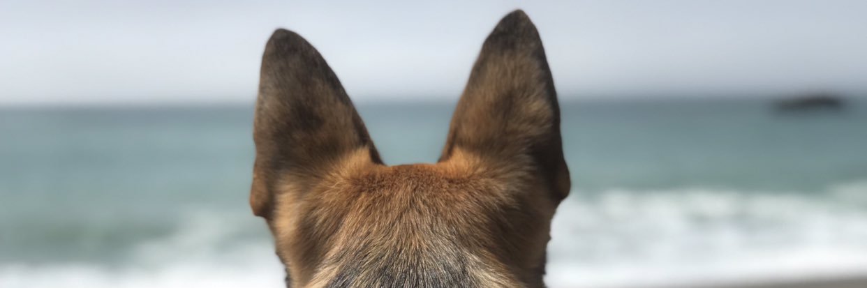 savvvyyyyy's profile banner image