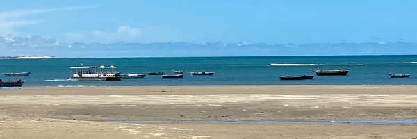 Adalbertopaz Profile Banner