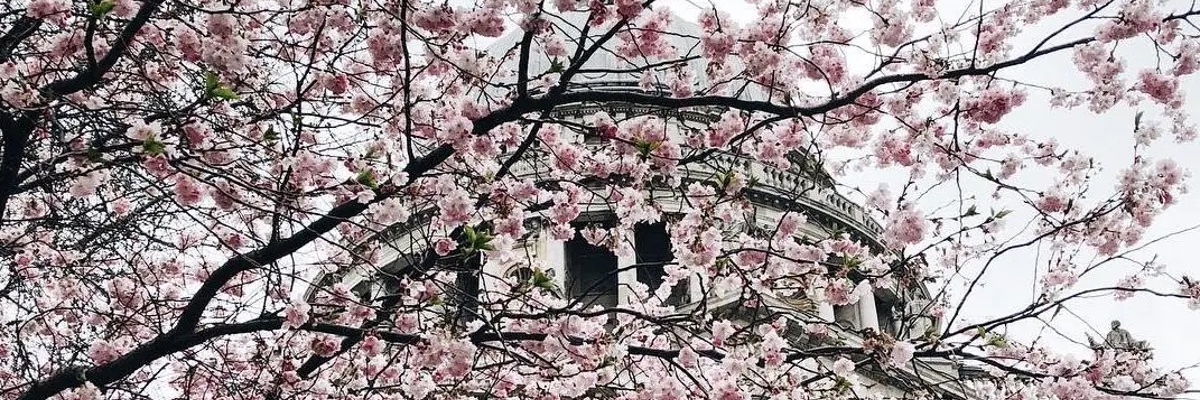 Dr Lyazat Turmukhambet banner