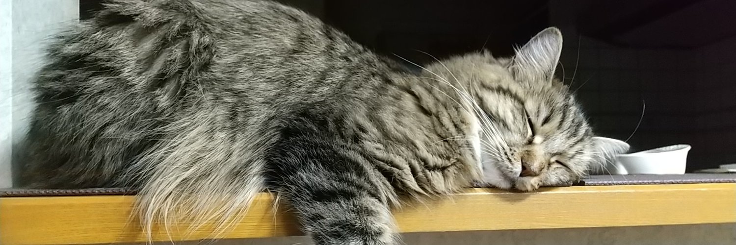 runchan55's profile banner image