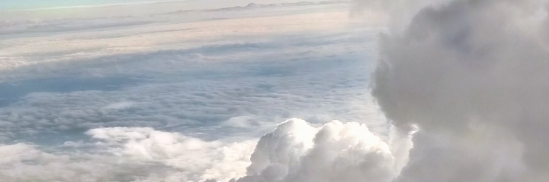 Polani_'s profile banner image
