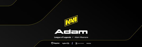 Ricadam_lol Profile Banner