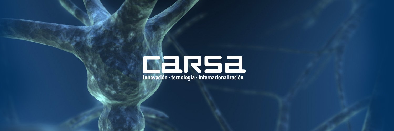 carsaconsulting banner