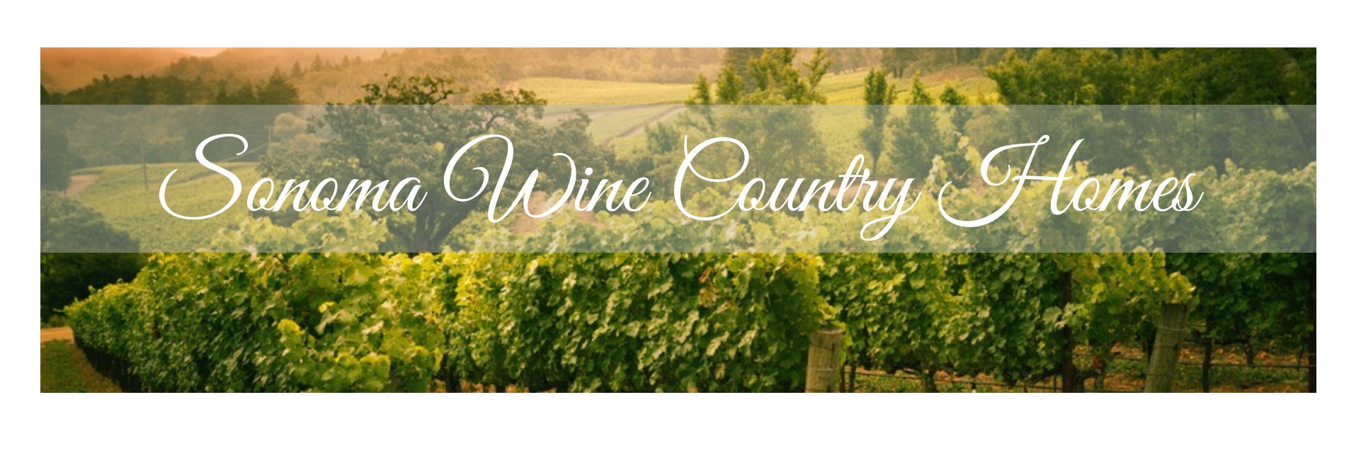 Sheela & Tammra banner