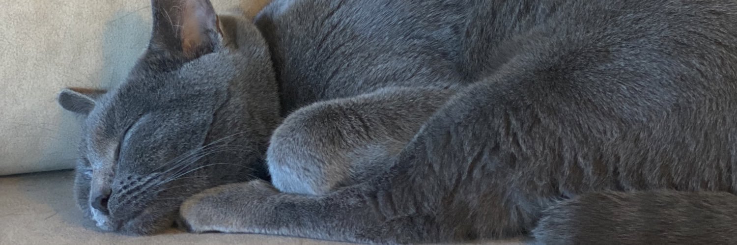 léa •• banner