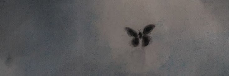 niefcr's profile banner image