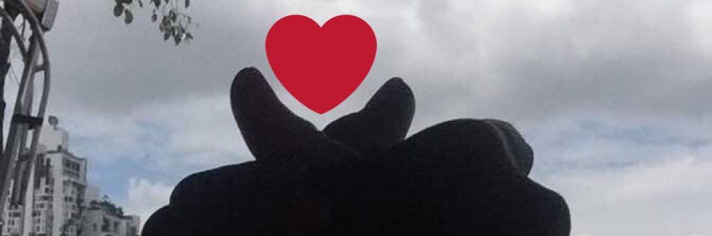 Farum banner