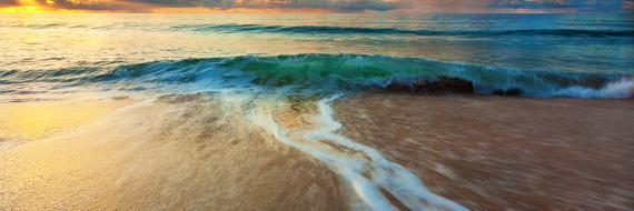 Manikya Veena banner