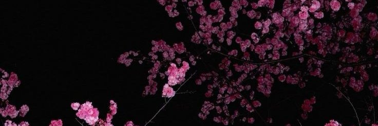 katrinakysye's profile banner image