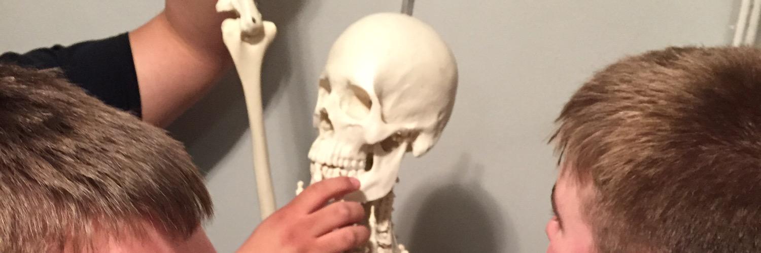 MrsFearE's profile banner image