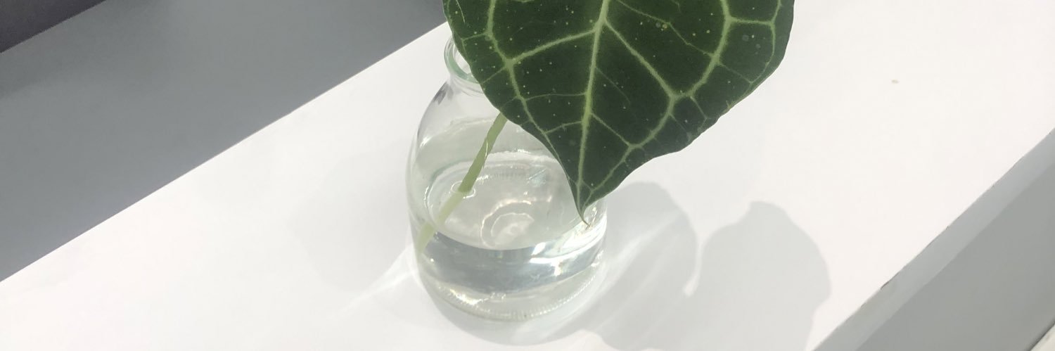 pupaencyp's profile banner image