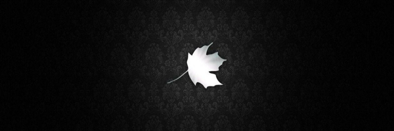 DarkWizard_23's profile banner image