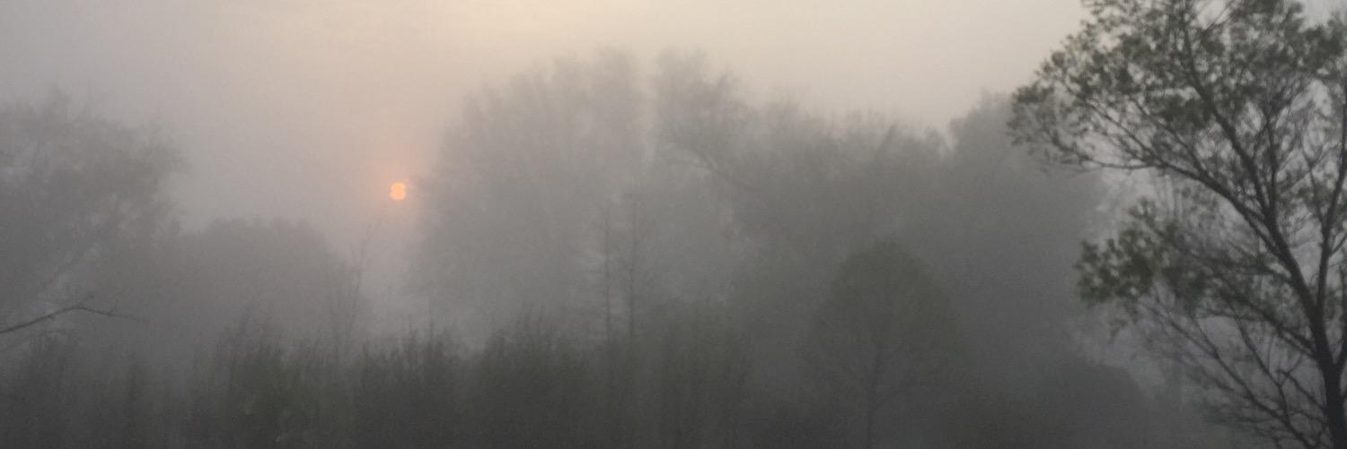 txddy's profile banner image