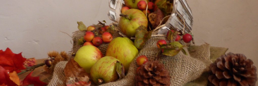 Lizzie Butterworth banner