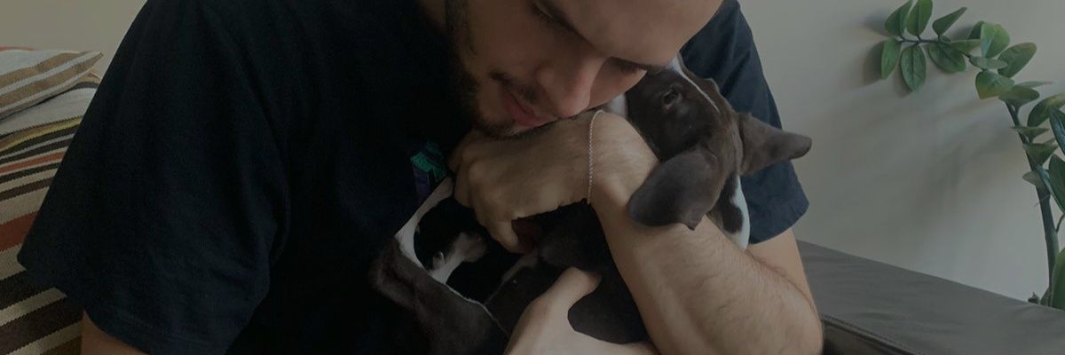 biameoli's profile banner image