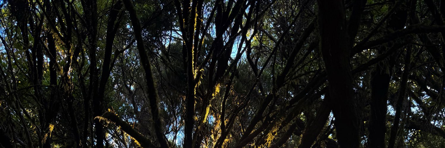 Jobrune_'s profile banner image