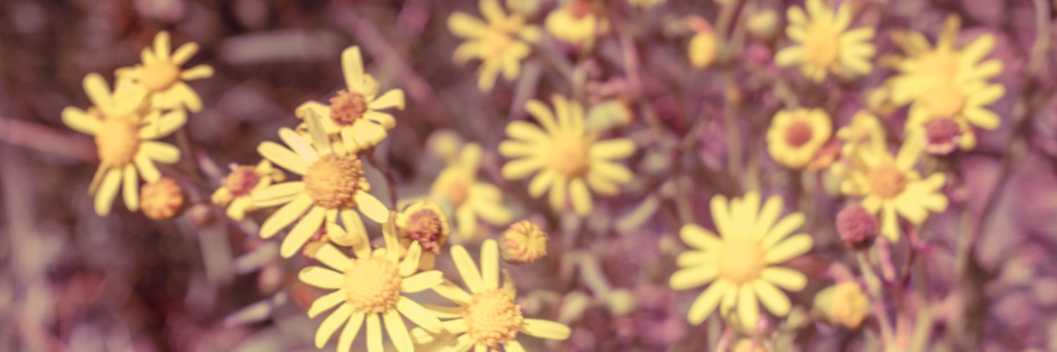Jaz_pineiro's profile banner image