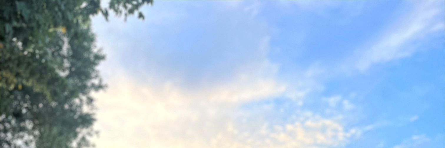ErayTaskopru's profile banner image