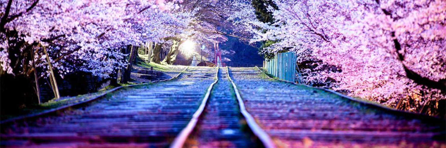 noixdekawkaw's profile banner image