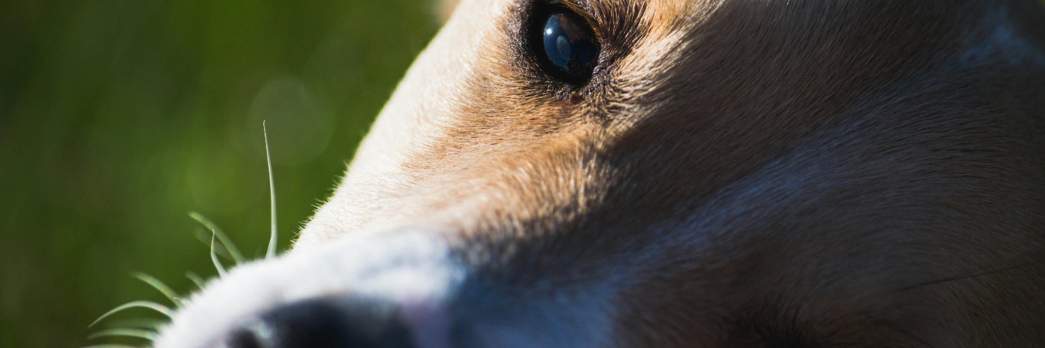 Daniielyytha's profile banner image