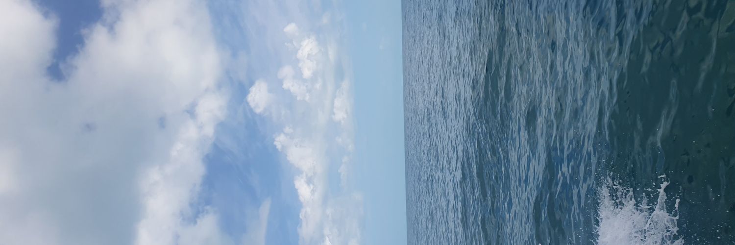Renebr95's profile banner image