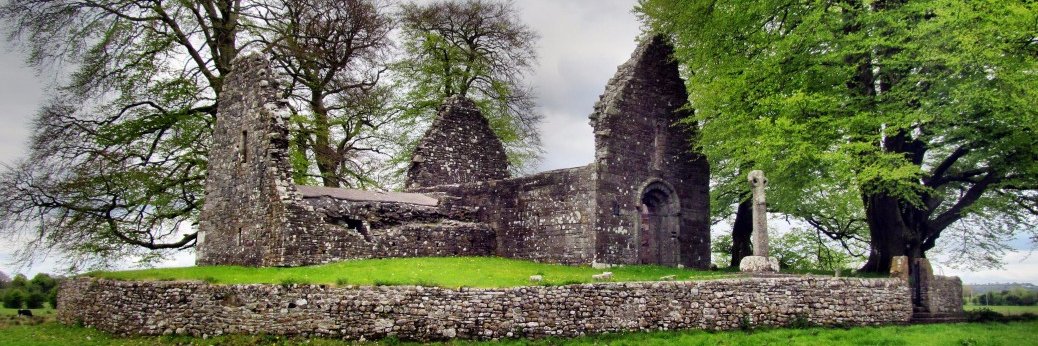 Shane FitzGerald banner