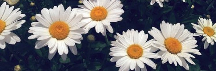 PDelarber's profile banner image