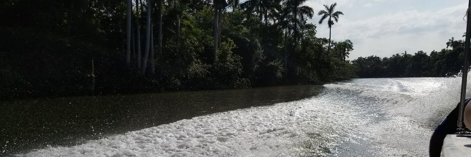 LexxiZee's profile banner image