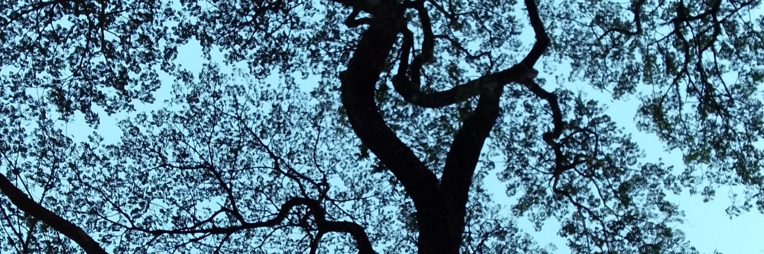 RamuNik's profile banner image